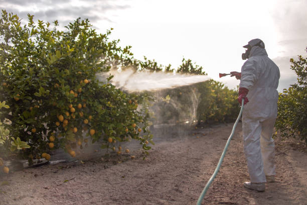 Best Wildlife Control Services  in Harrison, TN