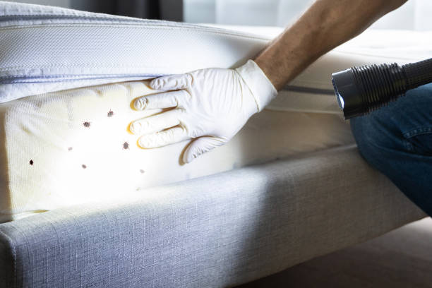Best Affordable Pest Control Services  in Harrison, TN