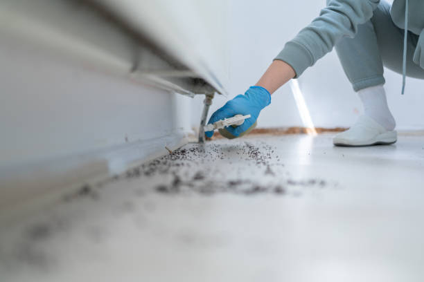 Pest Control Cost in Harrison, TN