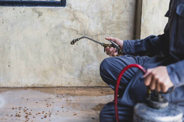 Best Rat Extermination Near Me  in Harrison, TN