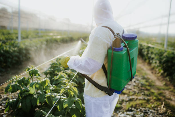 Best Termite Control Services  in Harrison, TN